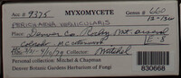 Image Associated With the Occurence